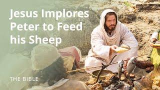 John 21 |Jesus Christ Implores Peter to "Feed My Sheep" | The Bible