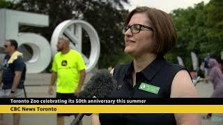 CBC News Toronto - July 10, 2024 [Late Night]