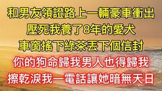 和男友領證路上一輛豪車衝出，壓死我養了8年的愛犬，車窗搖下綠茶丟下個信封：你的狗命歸我男人也得歸我，擦乾淚我一電話讓她暗無天日