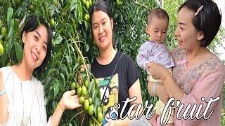 Accidental Encounter, Ly Phuc Hang Helps Look After Baby To Harvest Starfruit / Ly Chau Hang