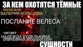 За кем охотятся темные сущности.Послание Велеса  записала Валерия Кольцова,читает Надежда Куделькина