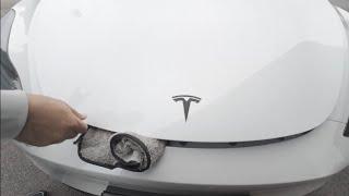  Tesla Model Y Car Frunk Soft Closing – How to Mount? - Very Easy️