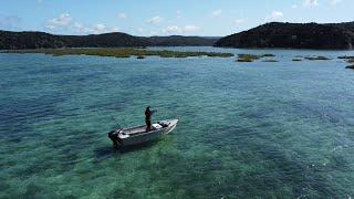 The Most Fish i Have Ever Seen! Private Access NZ Harbour