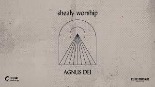 Shealy Worship - Agnus Dei (Live) Lyric Video