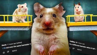 Squid Game hamster channels mistreat animals for videos