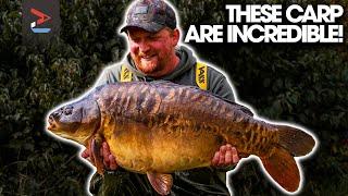 Syndicate Carp Fishing  | One More Cast | Jake Taylor | Carp Fishing