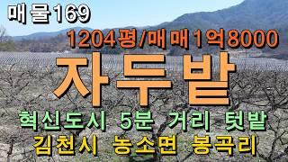 텃밭용 자두밭/김천시 농소면 봉곡리/1204평,매매1억8000만원/귀농귀촌,주말농장으로 추천하는 시골땅