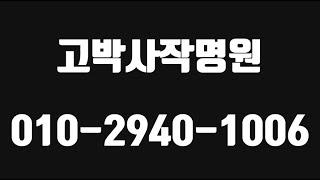 고박사작명원,울산작명원,울산신생아작명,울산개명잘하는곳