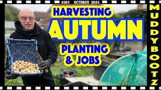 361  AUTUMN HARVEST  AUTUMN PLANTING