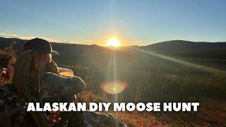 Alaskan DIY Moose Hunt