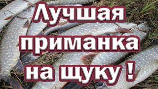 О НЕЙ ВАМ НЕ РАССКАЖУТ!!! ЛУЧШАЯ ПРИМАНКА НА ЩУКУ ловит до поздней осени!!! Рыбалка на спиннинг!