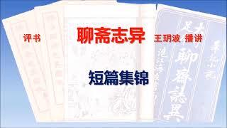 王玥波评书 《聊斋志异》之 短篇集锦