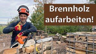 Brennholz mit Sägebock Holzmichel aufarbeiten , einfach, schnell,  und kompakt mit Stihl MS 441