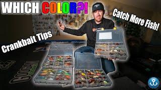 Fishing Hacks: The BEST Crankbait Colors (EXPLAINED)