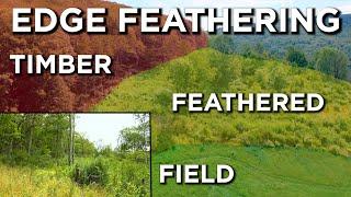 Summer Time Deer Habitat Improvement Projects | Edge Feathering