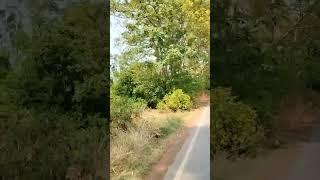 yedi naath ka naam