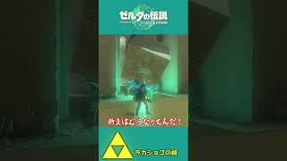 【ティアキン】光の反射なんて必要ない！？光の性質を見抜け！！【祠攻略】＃Shorts