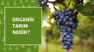 Organik Tarım Nedir?