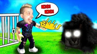 ZNALAZŁEM RZADKIEGO MROCZNEGO FLOPPĘ w ROBLOX - Find The Floppa Morphs