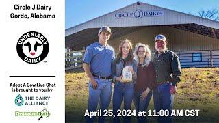 Circle J Dairy - Adopt A Cow Live Chat 2024