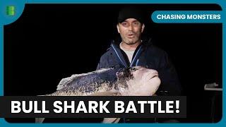 Battling Bull Sharks on the Wild Coast! - Chasing Monsters