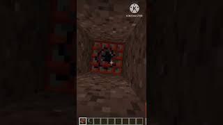 Did You Do This In Minecraft #shorts