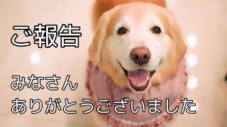 【ご報告 閲覧注意】あーちゃんを応援してくださった皆様へのご報告