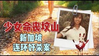 悬疑案件推理调查｜少女命丧坟山，新加坡连环奸杀案，宇哥案件调查，台灣案件 新加坡案件 中外大案｜unsolved case Singapore