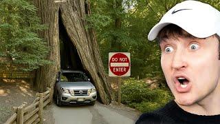 Idiots In Cars