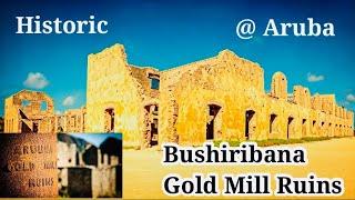 30 టన్నుల బంగారం తయారు చేసి export చేసిన Gold mills ruins, Aruba daytime historic place