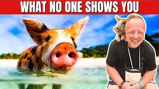 Is Swimming with Pigs at CocoCay REALLY Worth It? (actual footage) 