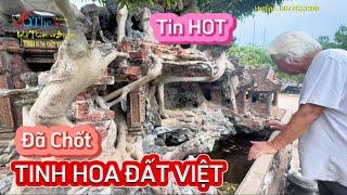 Nóng… Lột xác 4 lần Tác phẩm TINH HOA ĐẤT VIỆT của Ông Thọ chính thức Giao Dịch chờ ngày về chủ mới