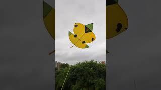 6 5 g fly #kiteflying #howtoflykite #flykite