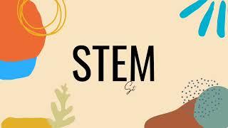 STEM strand