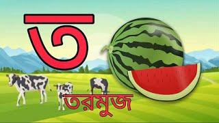 বাংলা ব্যঞ্জনবর্ণ ক খ গ ঘ||বাংলা বর্ণমালা||Preschool Learning Bangla Alphabets