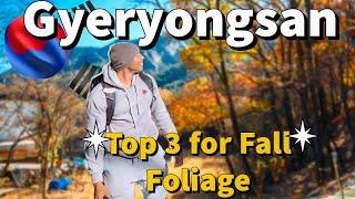 Top 3 Fall Foliage Outside of Seoul! Travel to Gyeryong Mountain! amazing fall foliage of Korea