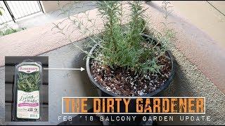 The Dirty Gardener | Feb. '18 Balcony Garden Update