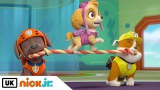 Paw Patrol | Pups Save a School Bus | Nick Jr. UK