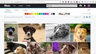 How to Find Public Domain Videos on Flickr