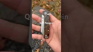 QSP Penguin S35VN button lock Coral G-10 handle #edcknife #edc #knifecommunity #everdaycarry #blade