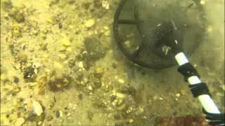 CZ-21 Quick Silver Metal Detector Dive With DetectorComparisons