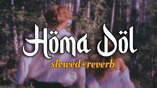 Homa Dol (Slowed + Reverb) Lofi - Saad Lamjarred, Neeti Mohan | Md Abidur Rahaman | Romantic 2025