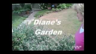 Diane's garden video.wmv