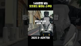 2025혼다 X-ADV750 1680만원 티맥스가 위험한 이유!