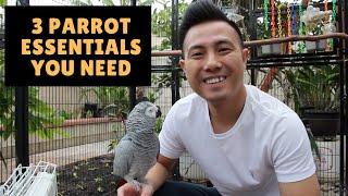 Top 3 Parrot Essentials