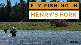 Fly Fishing in Henry's Fork (An In-depth Guide By a Guide)