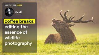 Editing the Essence of Wildlife Photography | Coffee Breaks | Luminar Neo