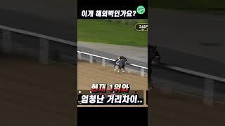 한국 1위기수가 해외가면 꼴찌?? #shorts