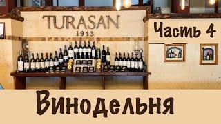 Сappadocia 2021 | TURASAN WINE FACTORY | WINE CELLAR | TURKEY | PART 4