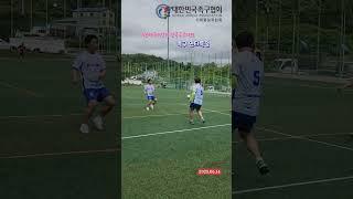 족구 연타 공격 영상모음 제12회 대한체육회장기 전국족구대회